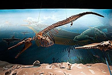 《暗黑不朽》每两周收到更新 第3季战斗通行证将开放